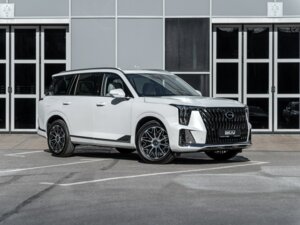 Новый GAC GS8 2025 Dragon 2.0 AT (231 л.с.) 4WD GX Premium  - фото 3