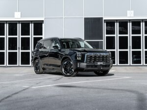 Новый GAC GS8 2025 Traveller 2.0 AT (231 л.с.) 4WD GX Traveller  - фото 4