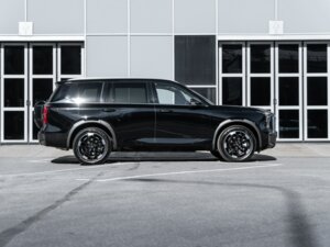 Новый GAC GS8 2025 Traveller 2.0 AT (231 л.с.) 4WD GX Traveller  - фото 5