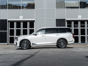 Новый GAC GS8 2025 Dragon 2.0 AT (231 л.с.) 4WD GX Premium  - фото 8