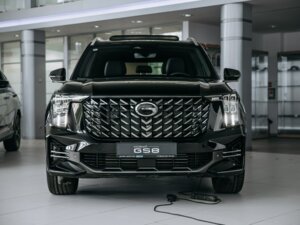 Новый GAC GS8 2026 Dragon 2.0 AT (231 л.с.) 4WD GT  - фото 2