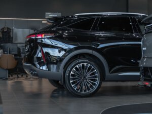 Новый Exeed RX 2025 2.0 AMT (197 л.с.) 4WD Urban  - фото 8